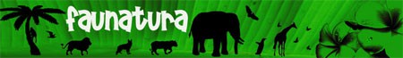 Faunatura
