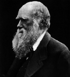 Darwin