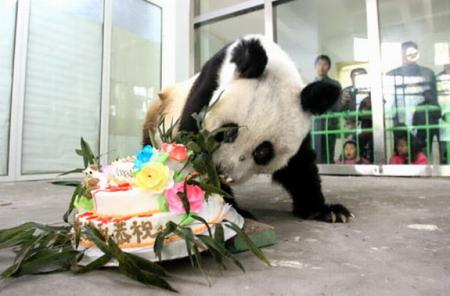 Taotao en la celebración de un cumpleaños