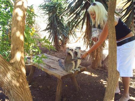 Zoo de las Islas Canarias
