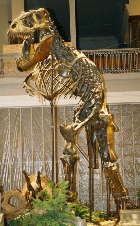 Esqueleto de Tiranosaurio Rex